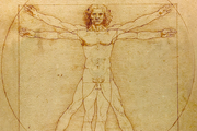 Vitruvian Man - Copyright: Leonardo da Vinci