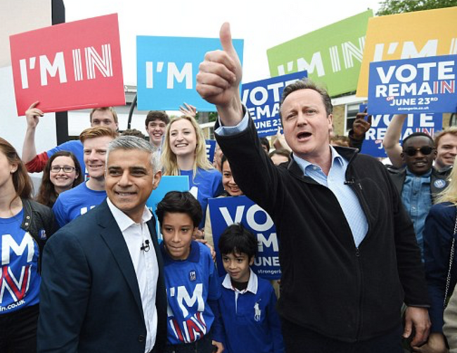 Remainers - Copyright: Daily Mail